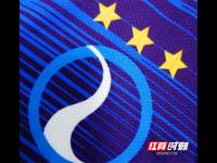 里尔VS尼斯直播分析法甲比赛前瞻：里尔vs尼斯预测分析(2024年05月20日)